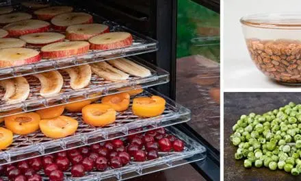 10 Fruits And Veggies To Dehydrate For Long-Time Storage