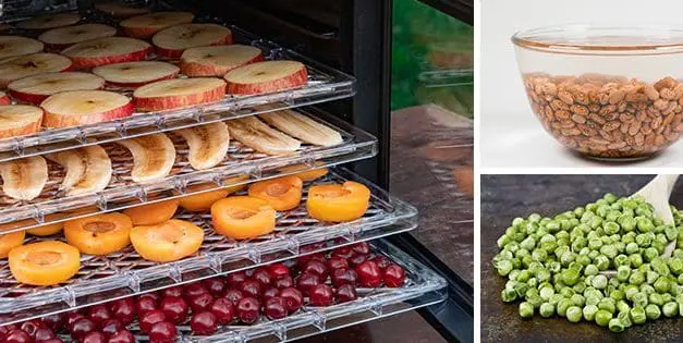 10 Fruits And Veggies To Dehydrate For Long-Time Storage