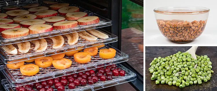 10 Fruits And Veggies To Dehydrate For Long-Time Storage