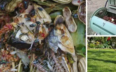 Stop Using THIS: It’s Ruining Your Compost