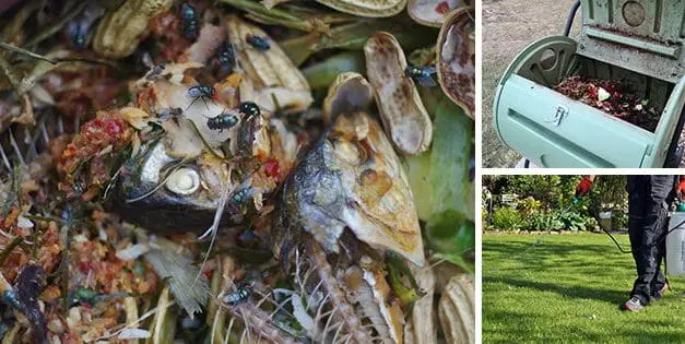 Stop Using THIS: It’s Ruining Your Compost