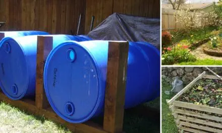 Survival DIY Projects You Can Start on Your Property Right Now