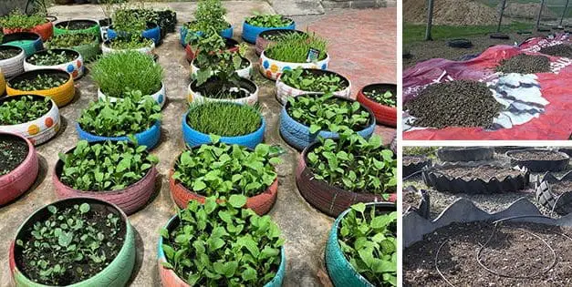 Low Cost Raised Garden Beds