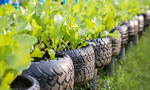 Low Cost Raised Garden Beds