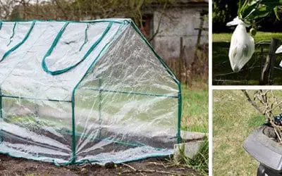 8 Garden Products That I Wasted My Money On