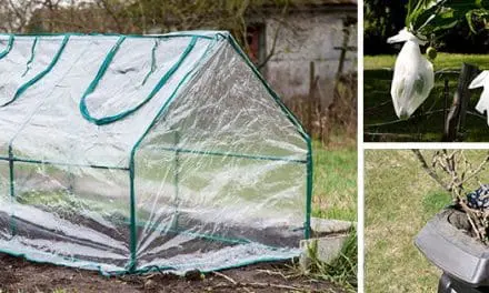 8 Garden Products That I Wasted My Money On