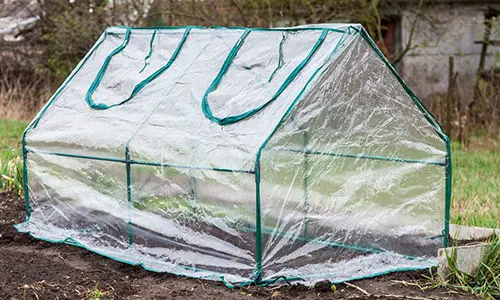 don't spend money on this garden product