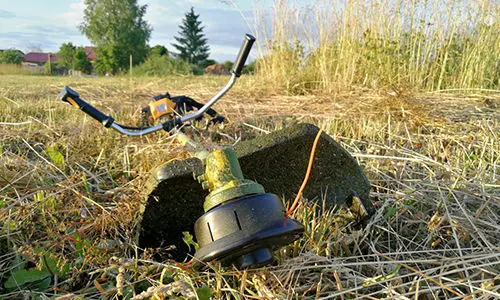 don't spend money on this garden product