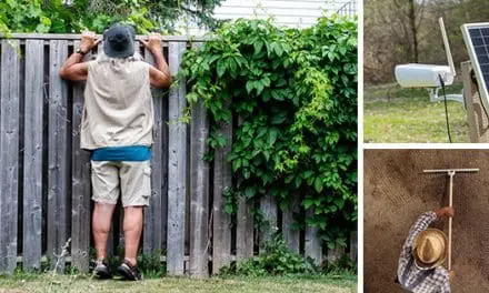 What To Do If You Catch Your Neighbor Snooping Around