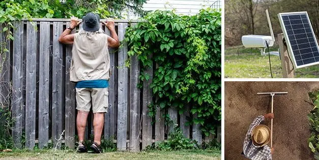 What To Do If You Catch Your Neighbor Snooping Around