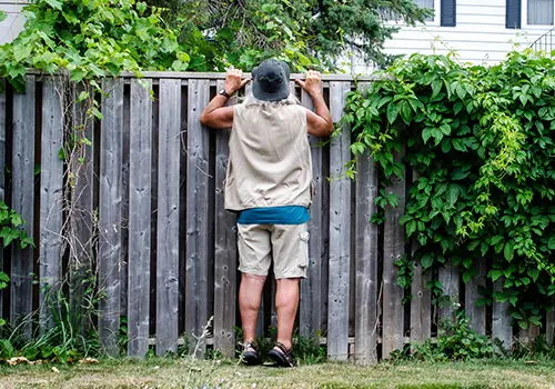 neighbors snooping around