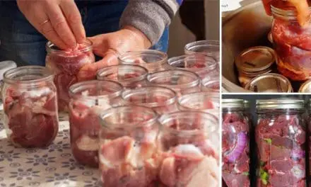 Pressure Canning 101