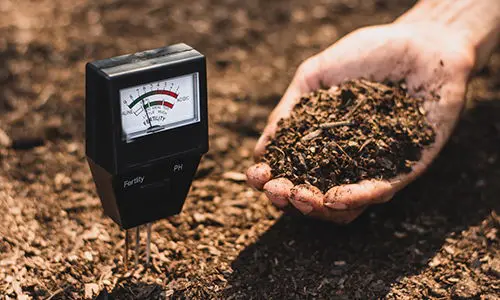 The Dos And Don'ts of Buying Land