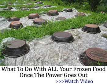 What to do with all your frozen food once the power goes out