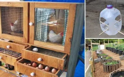 How To Repurpose Old Items Into New Projects For Your Backyard