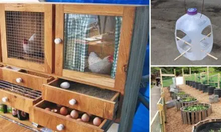 How To Repurpose Old Items Into New Projects For Your Backyard