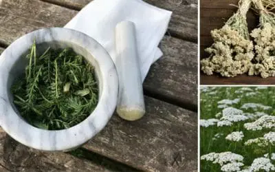 Use This Immediately When You Have An Open Wound