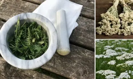 Use This Immediately When You Have An Open Wound