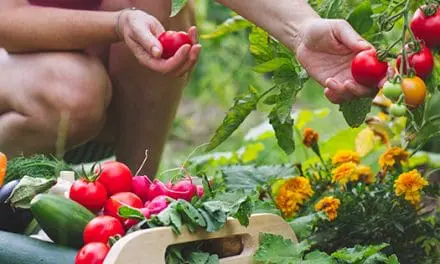 Gardening Mistakes That Might Get You Killed