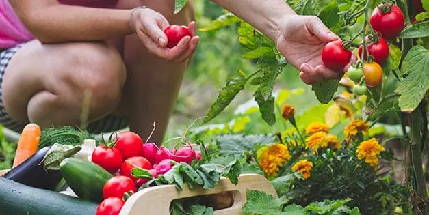 Gardening Mistakes That Might Get You Killed