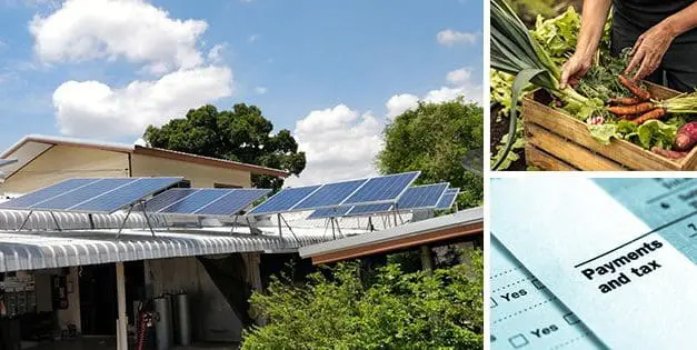 This Is Why The Government Doesn’t Want You To Be Self-Sufficient