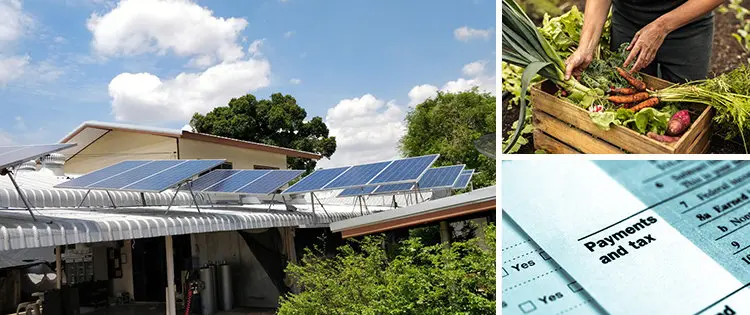 This Is Why The Government Doesn’t Want You To Be Self-Sufficient