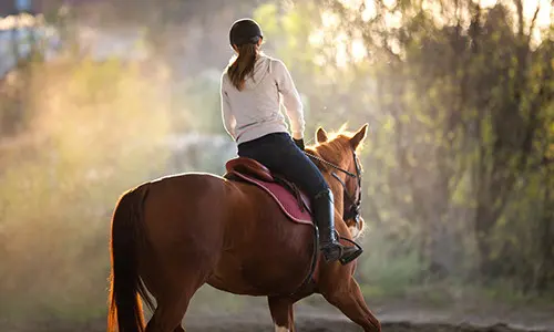 You Should Avoid Having This On Your Property, Unless…