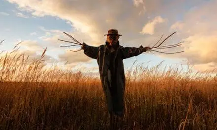 How To Build The Cheapest Scarecrow