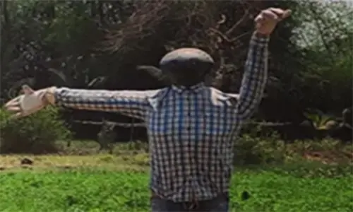 build the cheapest scarecrow