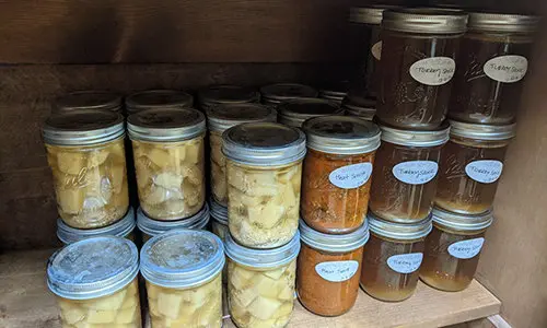 canning vs freeze dry