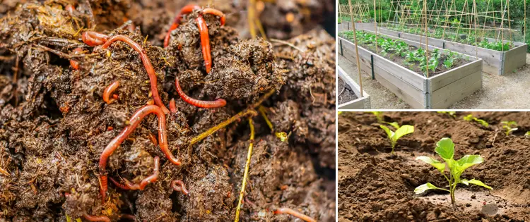 How To Fix Clay Or Sandy Garden Soil