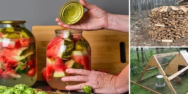 Homesteading To Do’s: July