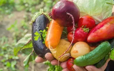 5 Amish Gardening Techniques You Should Know