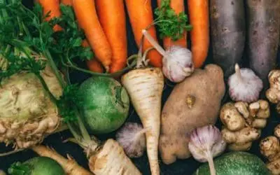 Homesteading To Do’s: August