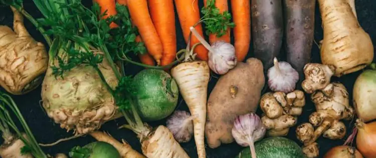 Homesteading To Do’s: August