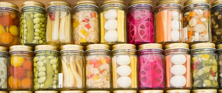 I Fermented My Entire Garden, Now What?