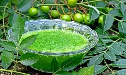 How To Use Toothpaste For Your Garden