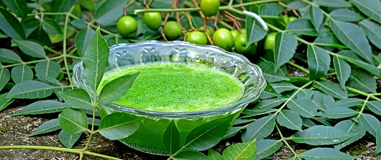 How To Use Toothpaste For Your Garden