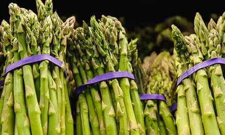 Plant This Vegetable Once and Harvest it For 30+ Years