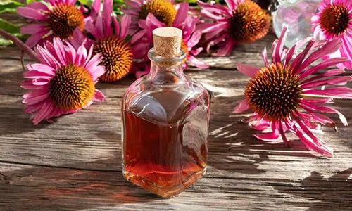 amish medicinal garden