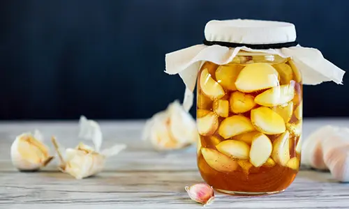 amish medicinal garden