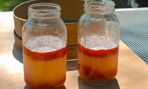 harvest seeds from plants