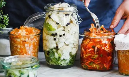 Homesteading To Do’s: September