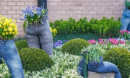 Stop Throwing Away Old Clothes, Do This Instead