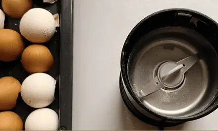 Vinegar+eggshells =?