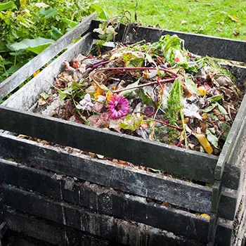 tomato leaves in a storage container