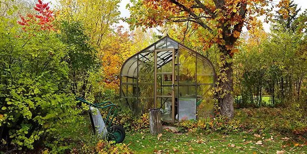 Homesteading To Do’s: October