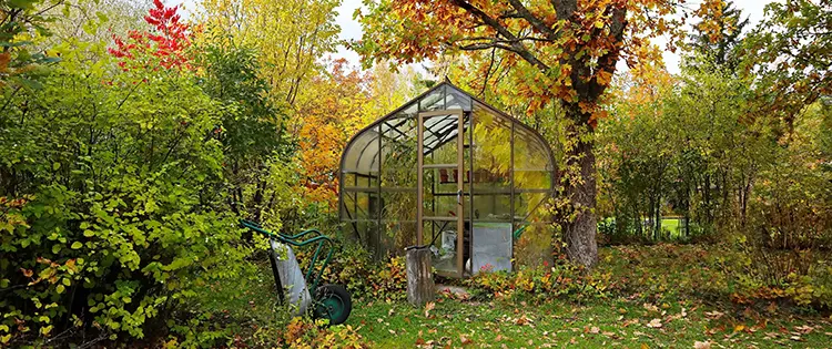 Homesteading To Do’s: October