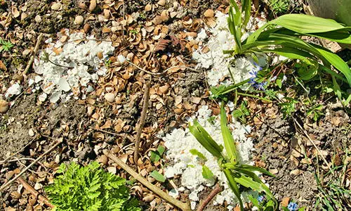 ingenious eggshells uses