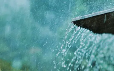 Ingenious Rain Catchment System For Your Homestead